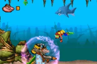 Image n° 4 - screenshots  : Crash Bandicoot - the Huge Adventure