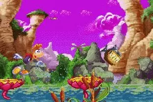 Image n° 8 - screenshots  : Rayman Advance (Beta)
