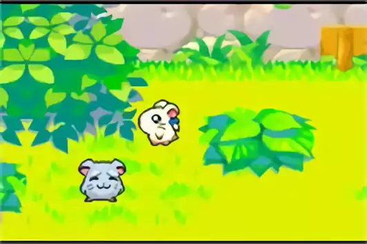 Image n° 4 - screenshots : Hamtaro - Rainbow Rescue