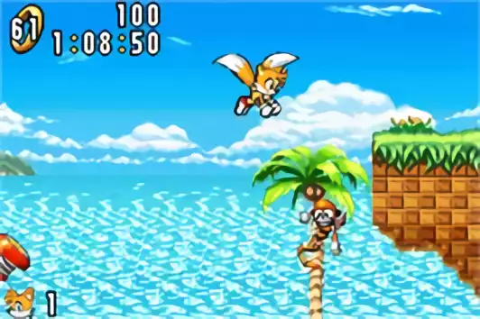 Image n° 3 - screenshots : Sonic Advance