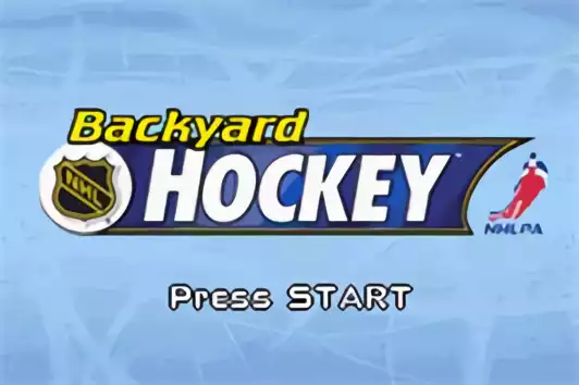 Image n° 4 - titles : Backyard Hockey