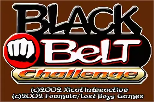 Image n° 5 - titles : Black Belt Challenge