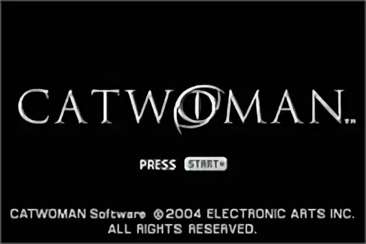 Image n° 5 - titles : Catwoman