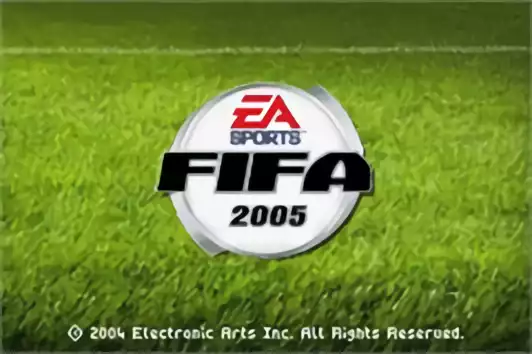 Image n° 5 - titles : Fifa Football 2005