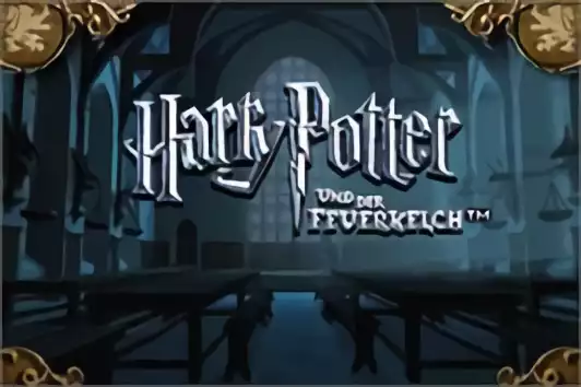 Image n° 5 - titles : Harry Potter et La Coupe De Feu