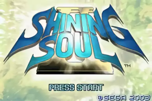 Image n° 5 - titles : Shining Soul II