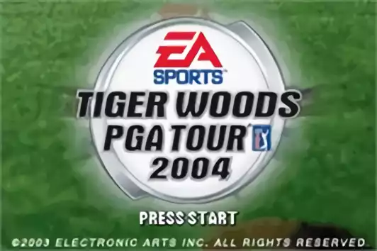 Image n° 5 - titles : Tiger Woods PGA Tour 2004 Image n° 5 - titles : Tiger Woods PGA Tour 2004