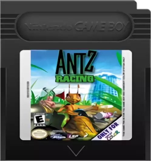 Image n° 2 - carts : Antz Racing