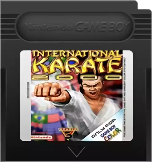 Image n° 2 - carts : International Karate 2000