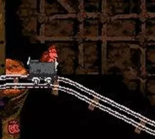 Image n° 9 - screenshots  : Donkey Kong Country