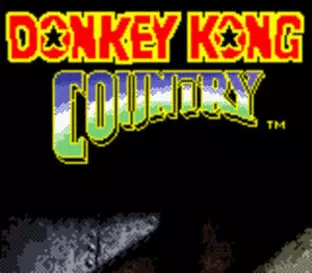 Image n° 6 - screenshots  : Donkey Kong Country