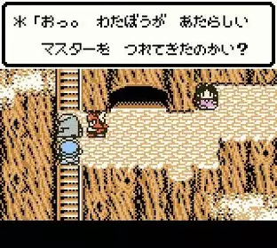 Image n° 8 - screenshots  : Dragon Warrior Monsters