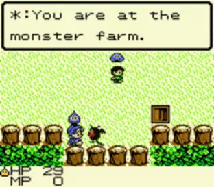 Image n° 5 - screenshots  : Dragon Warrior Monsters