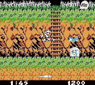 Image n° 6 - screenshots  : Ghosts'n Goblins