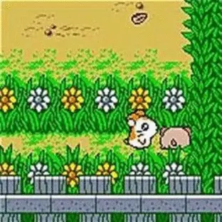 Image n° 3 - screenshots  : Hamtaro Ham-Hams Unite