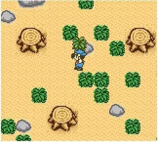 Image n° 4 - screenshots  : Harvest Moon 2 GBC