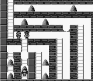 Image n° 4 - screenshots  : Lode Runner