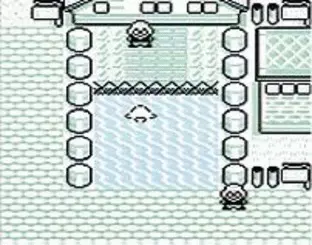 Image n° 3 - screenshots  : Pokemon - Blue Version