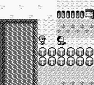 Image n° 5 - screenshots  : Pokemon - Blue Version