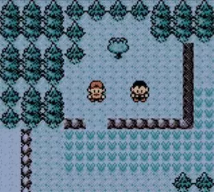 Image n° 7 - screenshots  : Pokemon - Crystal Version