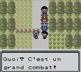 Image n° 5 - screenshots  : Pokemon - Crystal Version