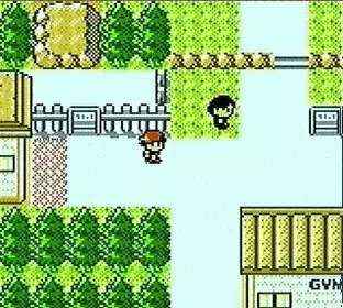 Image n° 3 - screenshots  : Pokemon - Gold Version
