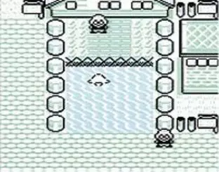 Image n° 3 - screenshots  : Pokemon - Red Version