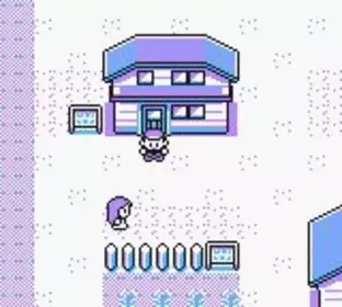 Image n° 6 - screenshots  : Pokemon - Yellow Version