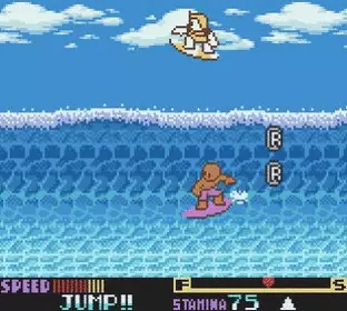 Image n° 1 - screenshots  : Ultimate Surfing