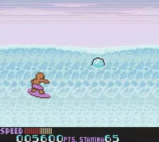 Image n° 6 - screenshots  : Ultimate Surfing