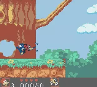 Image n° 3 - screenshots  : Woody Woodpecker