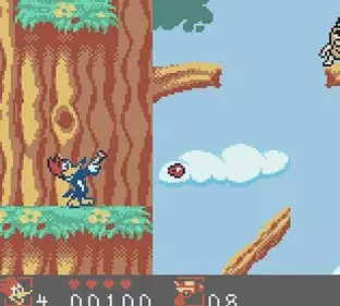 Image n° 4 - screenshots  : Woody Woodpecker