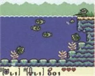 Image n° 8 - screenshots  : Legend of Zelda, The - Link's Awakening DX