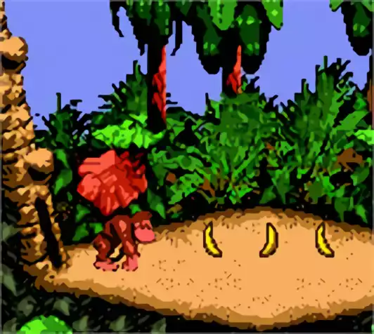 Image n° 3 - screenshots : Donkey Kong Country