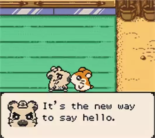 Image n° 9 - screenshots : Hamtaro Ham-Hams Unite