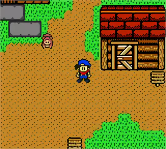 Image n° 5 - screenshots : Harvest Moon 3 GBC