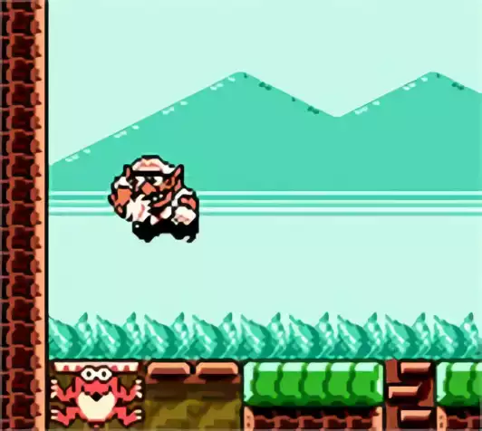 Image n° 10 - screenshots : Wario Land 3