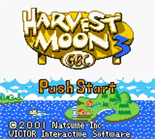 Image n° 7 - titles : Harvest Moon 3 GBC