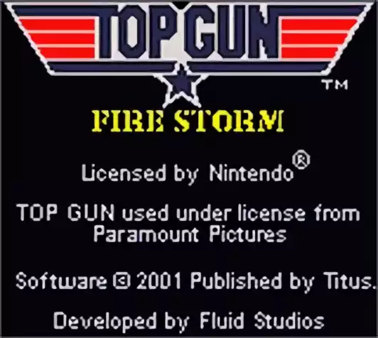 Image n° 10 - titles : Top Gun - Fire Storm