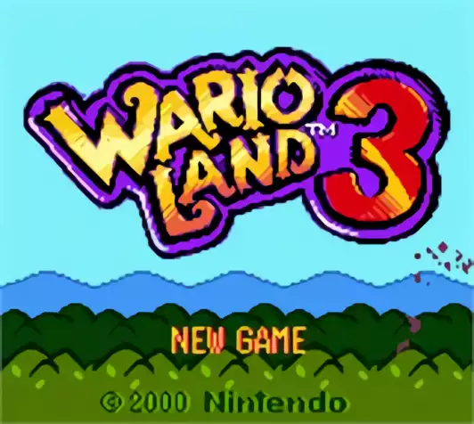 Image n° 11 - titles : Wario Land 3