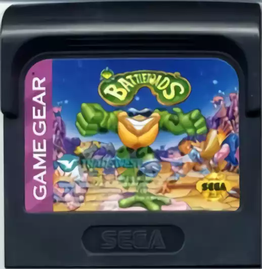 Image n° 2 - carts : Battletoads