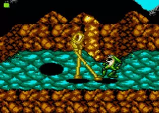 Image n° 9 - screenshots  : Battletoads