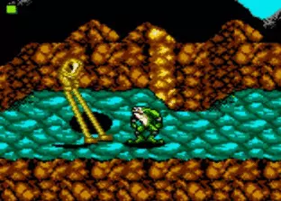 Image n° 8 - screenshots  : Battletoads