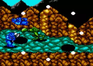 Image n° 7 - screenshots  : Battletoads