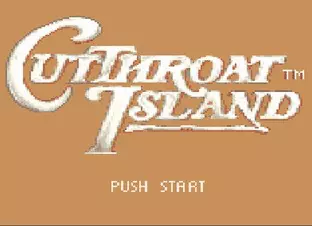 Image n° 7 - screenshots  : Cutthroat Island