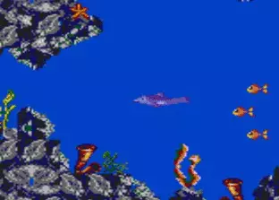 Image n° 3 - screenshots  : Ecco the Dolphin