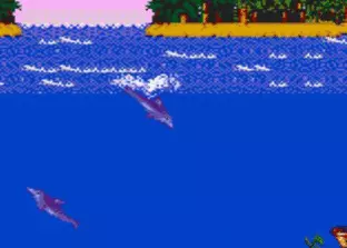 Image n° 9 - screenshots  : Ecco the Dolphin