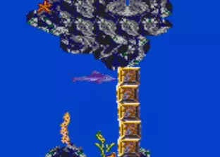 Image n° 7 - screenshots  : Ecco the Dolphin