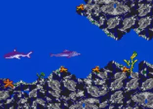 Image n° 6 - screenshots  : Ecco the Dolphin