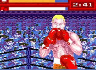 Image n° 5 - screenshots  : Evander Holyfield's Boxing